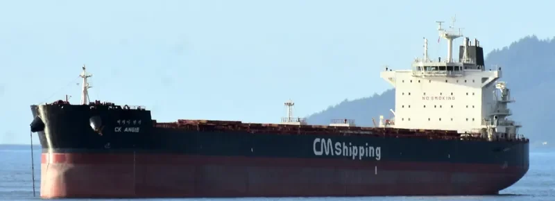 CK ANGIE Bulk Carrier IMO 9595864 photo 7