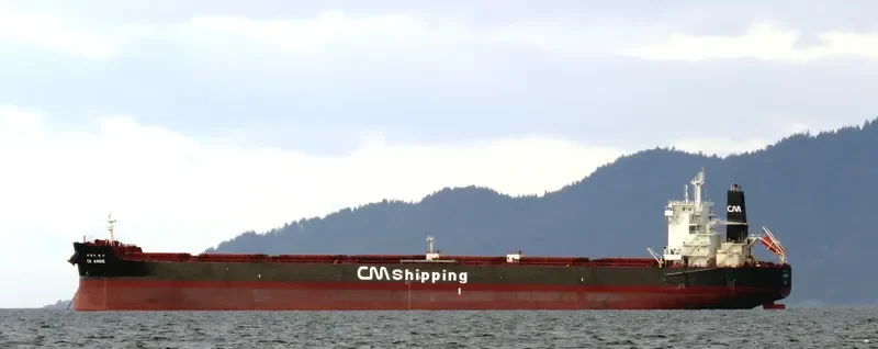 CK ANGIE Bulk Carrier IMO 9595864 photo 8