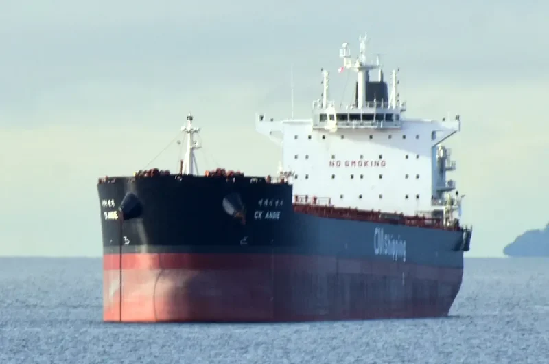 CK ANGIE Bulk Carrier IMO 9595864 photo 9