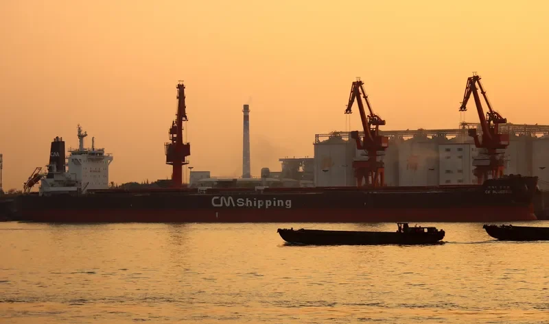 CK BLUEBELL Bulk Carrier IMO 9595876