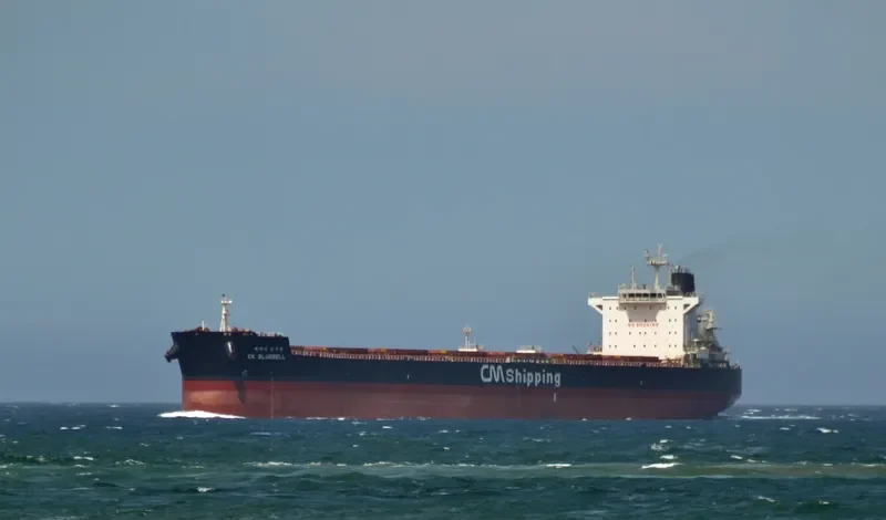 CK BLUEBELL Bulk Carrier IMO 9595876 photo 5