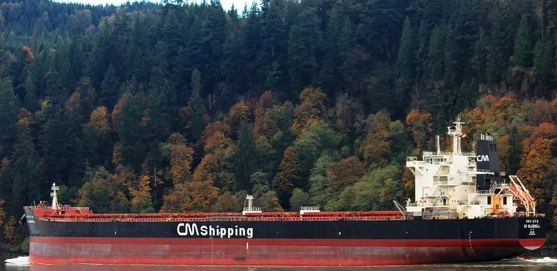 CK BLUEBELL Bulk Carrier IMO 9595876 photo 7