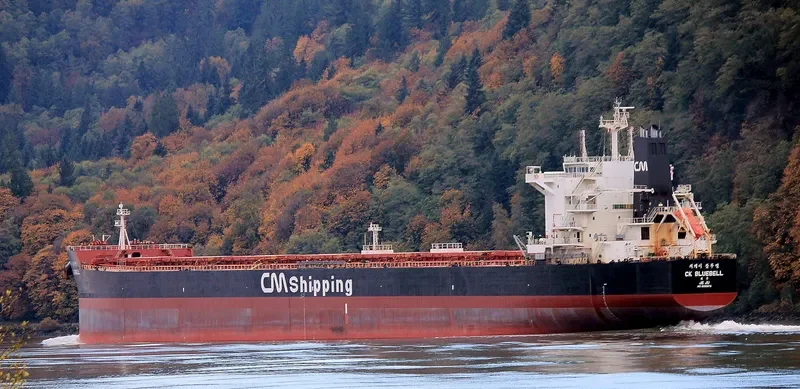 CK BLUEBELL Bulk Carrier IMO 9595876 photo 8