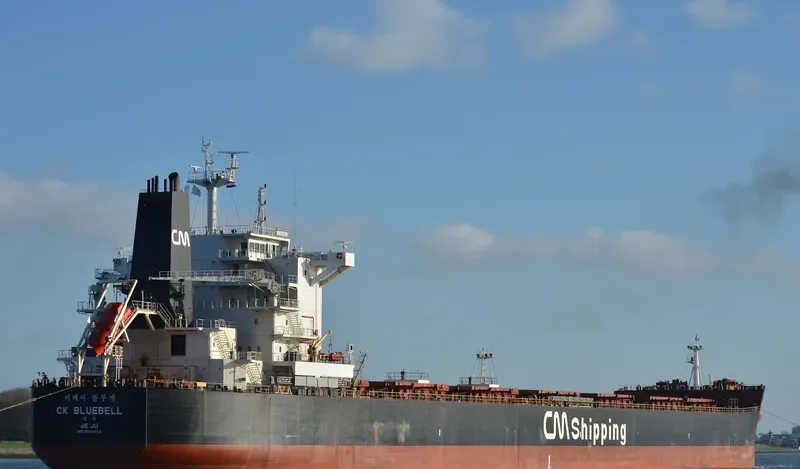 CK BLUEBELL Bulk Carrier IMO 9595876 photo 10