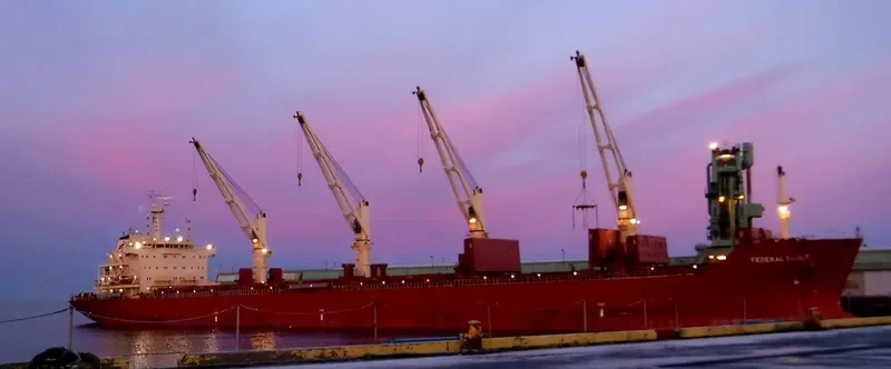 FEDERAL SABLE Bulk Carrier IMO 9595888