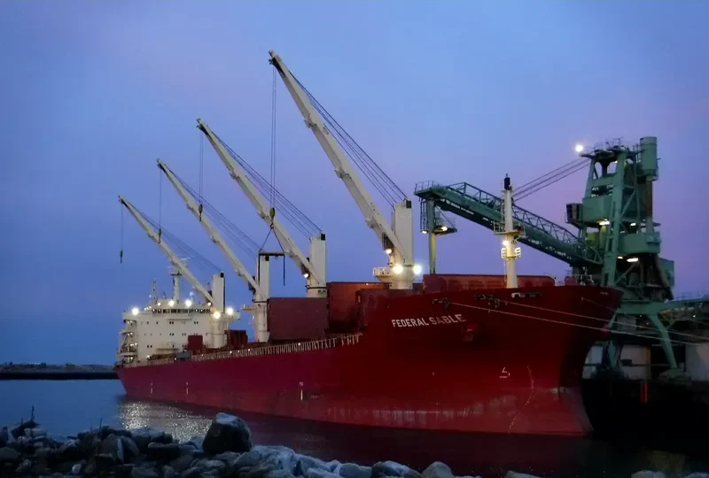 FEDERAL SABLE Bulk Carrier IMO 9595888 photo 2