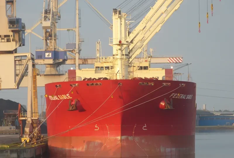 FEDERAL SABLE Bulk Carrier IMO 9595888 photo 3