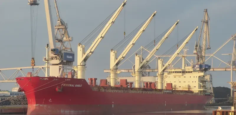 FEDERAL SABLE Bulk Carrier IMO 9595888 photo 4
