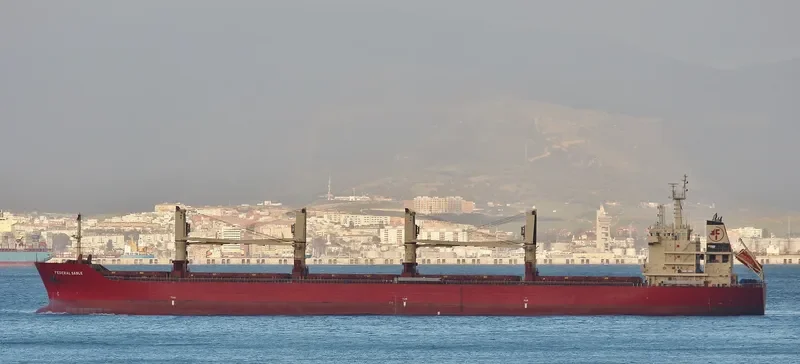 FEDERAL SABLE Bulk Carrier IMO 9595888 photo 6