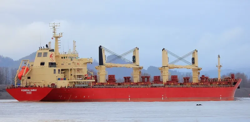 FEDERAL SABLE Bulk Carrier IMO 9595888 photo 7