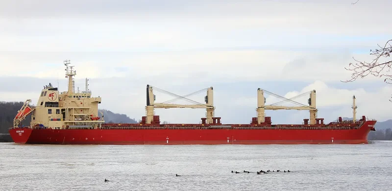 FEDERAL SABLE Bulk Carrier IMO 9595888 photo 8