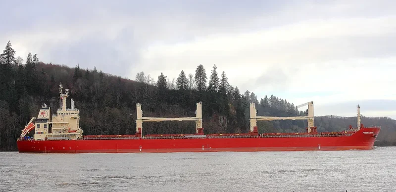 FEDERAL SABLE Bulk Carrier IMO 9595888 photo 9