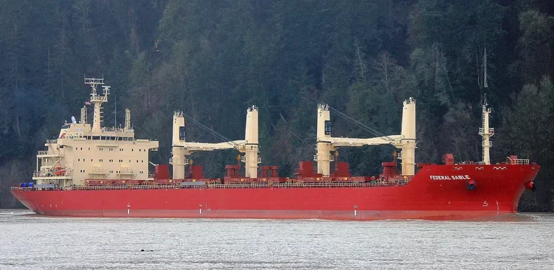 FEDERAL SABLE Bulk Carrier IMO 9595888 photo 10
