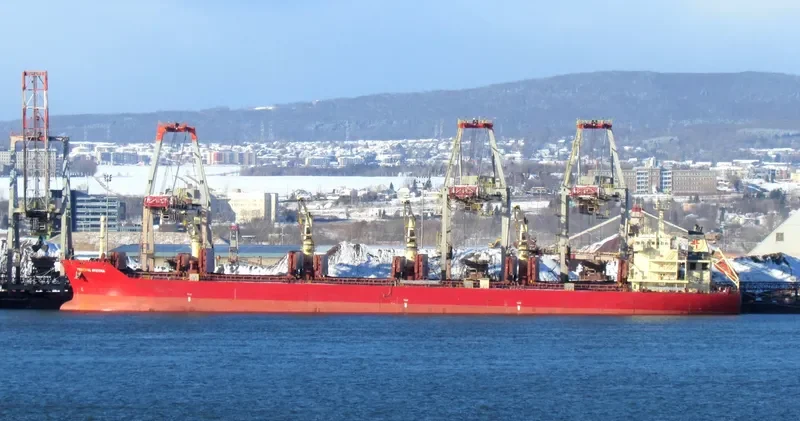 FEDERAL SKEENA Bulk Carrier IMO 9595890