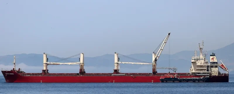 FEDERAL SKEENA Bulk Carrier IMO 9595890 photo 2