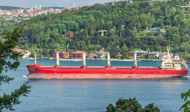 FEDERAL SKEENA Bulk Carrier IMO 9595890 photo 4