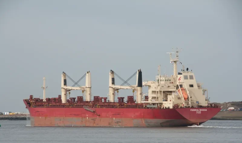 FEDERAL SKEENA Bulk Carrier IMO 9595890 photo 6