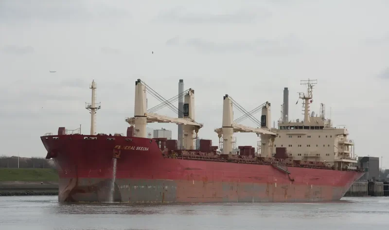 FEDERAL SKEENA Bulk Carrier IMO 9595890 photo 8