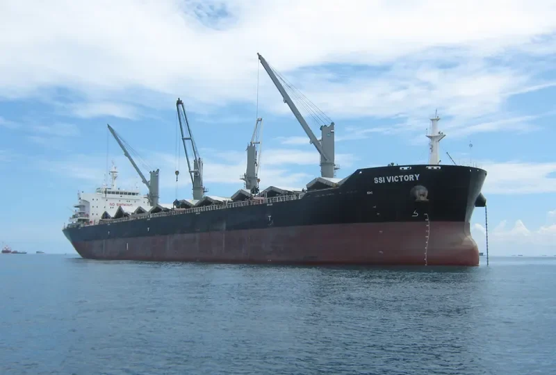 SSI VICTORY Bulk Carrier IMO 9595943 photo 5