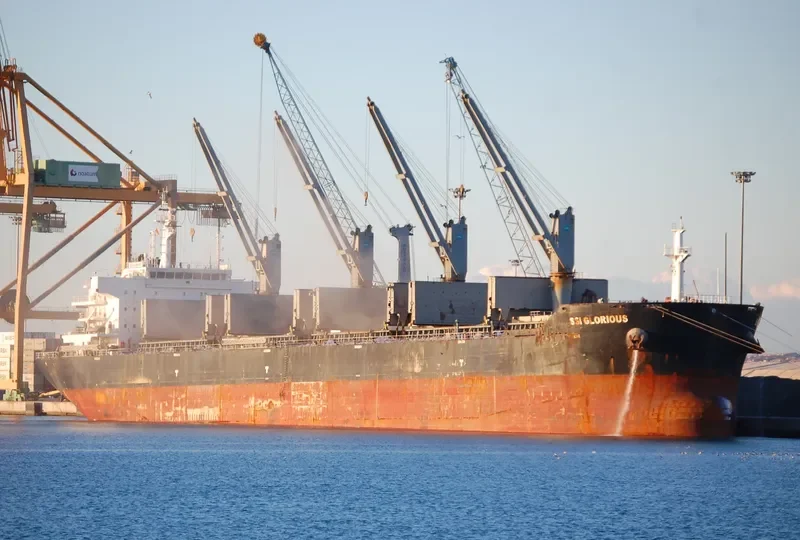 SSI GLORIOUS Bulk Carrier IMO 9595955 photo 3