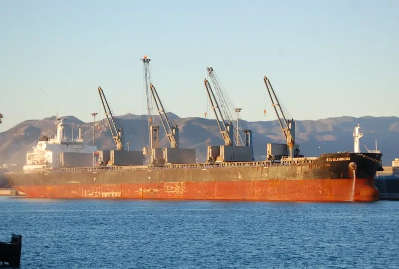 SSI GLORIOUS Bulk Carrier IMO 9595955 photo 4