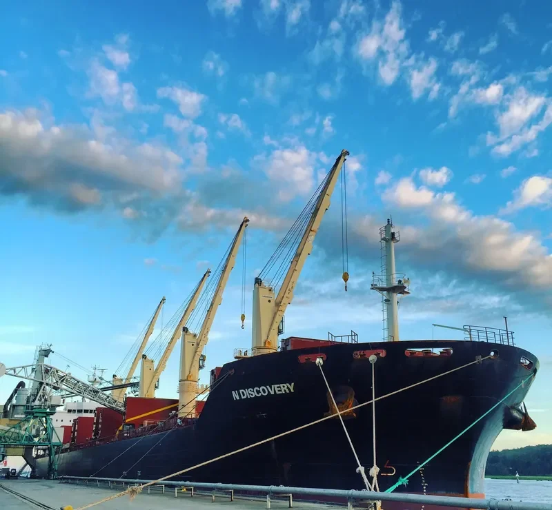 DISCOVERY Bulk Carrier IMO 9595967 photo 3