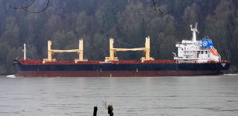 DISCOVERY Bulk Carrier IMO 9595967 photo 4