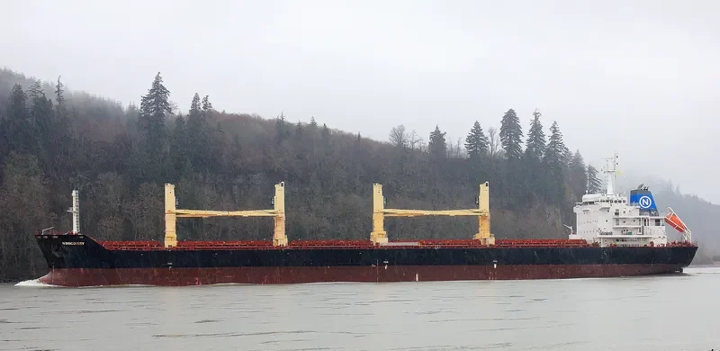 DISCOVERY Bulk Carrier IMO 9595967 photo 5