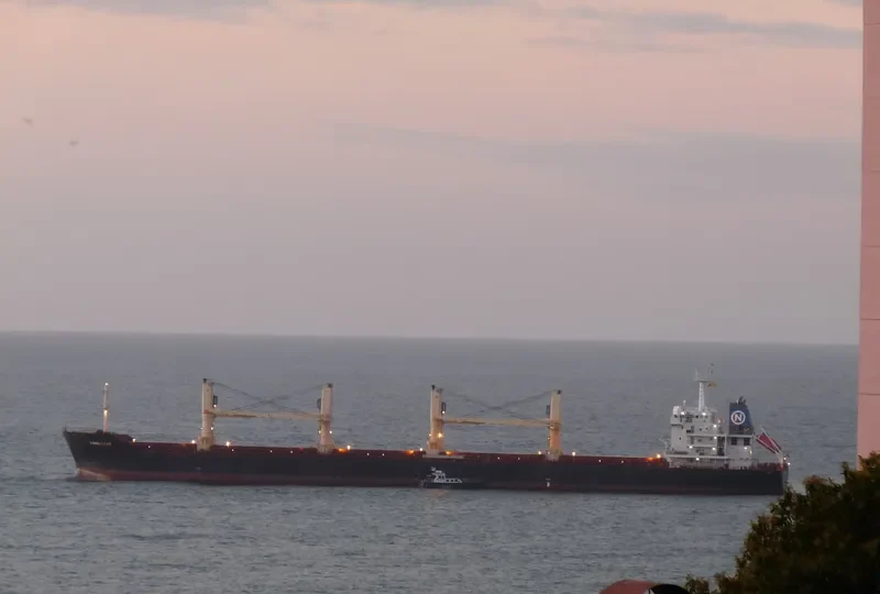 DISCOVERY Bulk Carrier IMO 9595967 photo 7