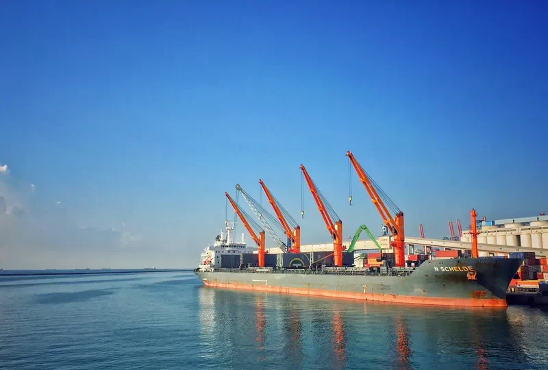 NORDSCHELDE Bulk Carrier IMO 9596038 photo 3