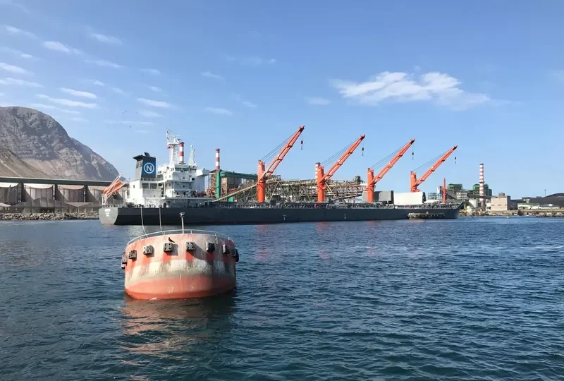 NORDSEINE Bulk Carrier IMO 9596052 photo 4