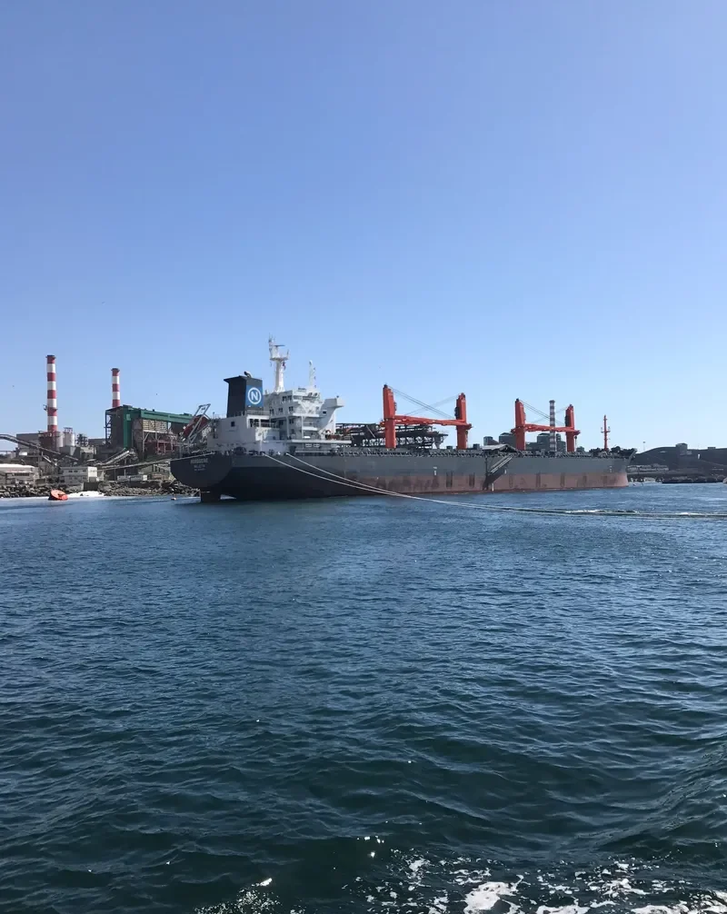 NORDSEINE Bulk Carrier IMO 9596052 photo 5