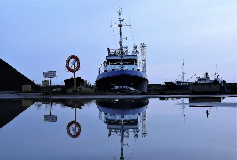 VIRU General Cargo IMO 9596131 photo 2