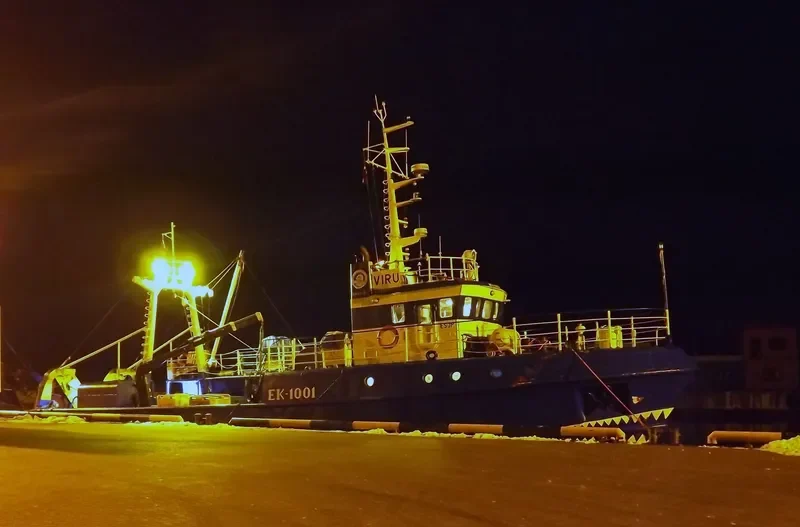 VIRU General Cargo IMO 9596131 photo 4