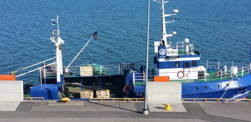 VIRU General Cargo IMO 9596131 photo 6