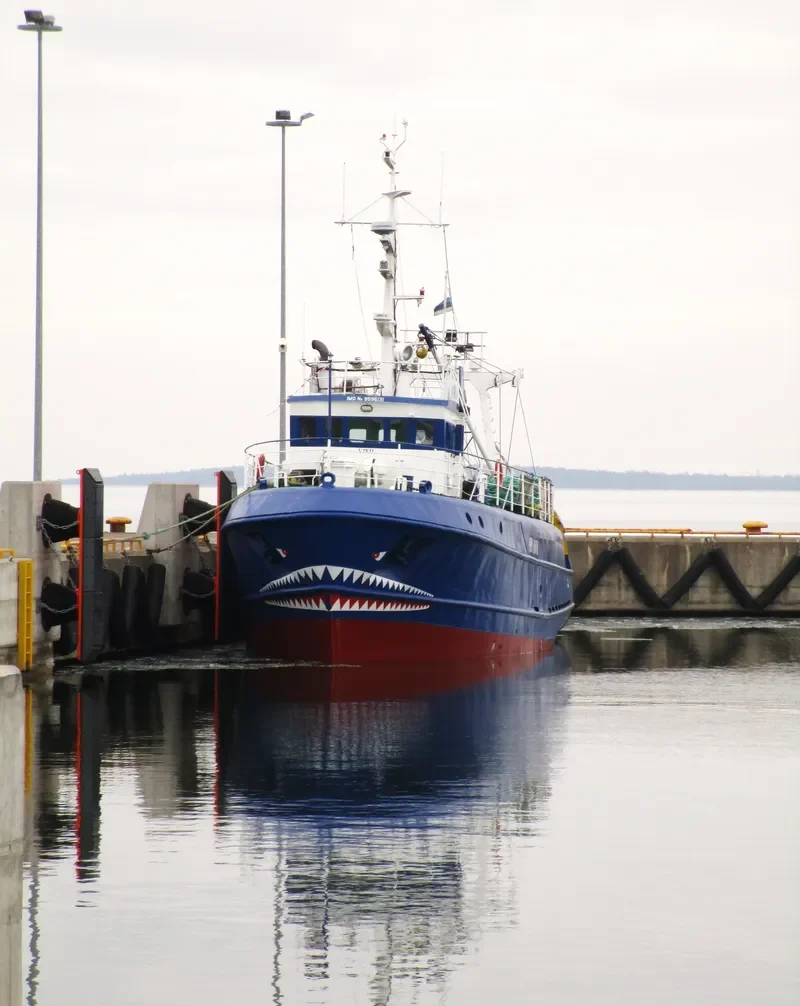 VIRU General Cargo IMO 9596131 photo 7