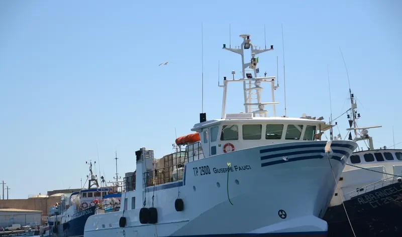 GIUSEPPE FAUCI General Cargo IMO 9596155 photo 8