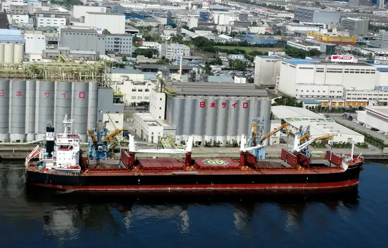 GOOBY Bulk Carrier IMO 9596167 photo 4