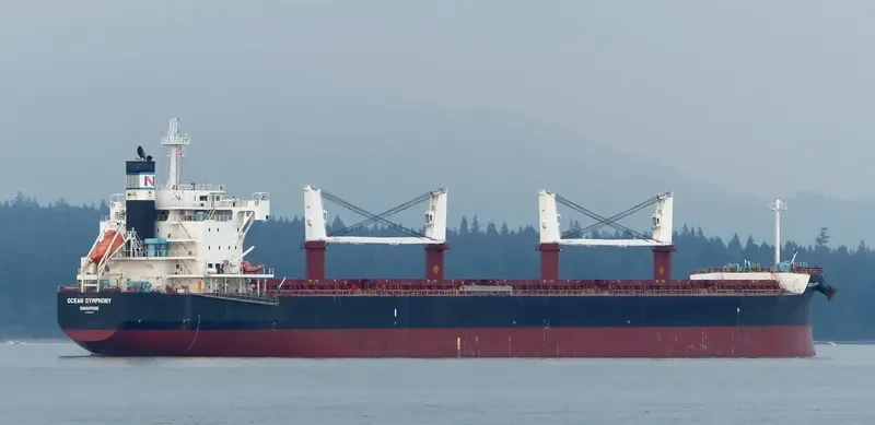 GOOBY Bulk Carrier IMO 9596167 photo 5