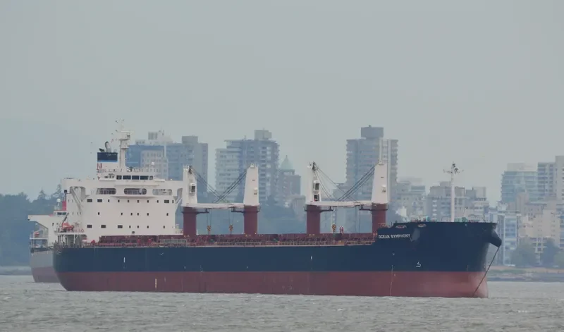 GOOBY Bulk Carrier IMO 9596167 photo 6