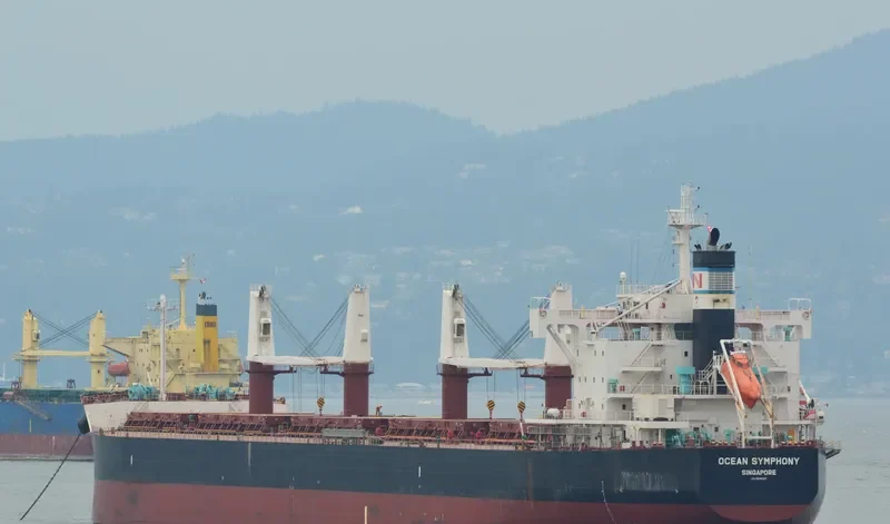 GOOBY Bulk Carrier IMO 9596167 photo 7