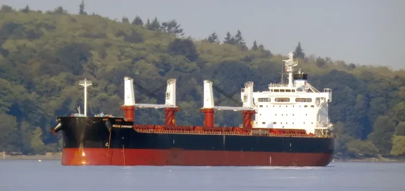 GOOBY Bulk Carrier IMO 9596167 photo 8