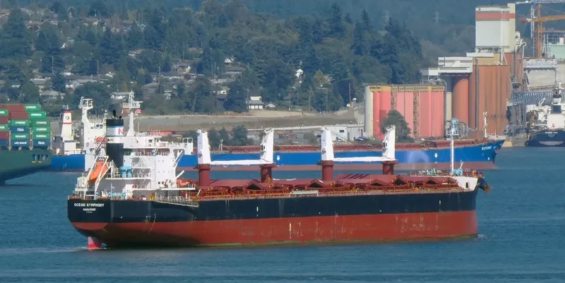 GOOBY Bulk Carrier IMO 9596167 photo 9