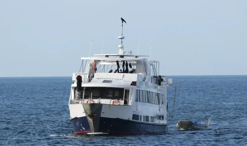 CRUCEROS HUMBOLDT Passenger Ship IMO 9596284 photo 3