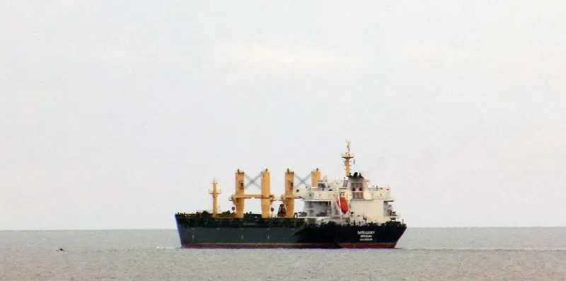 DATO LUCKY Bulk Carrier IMO 9596569 photo 4