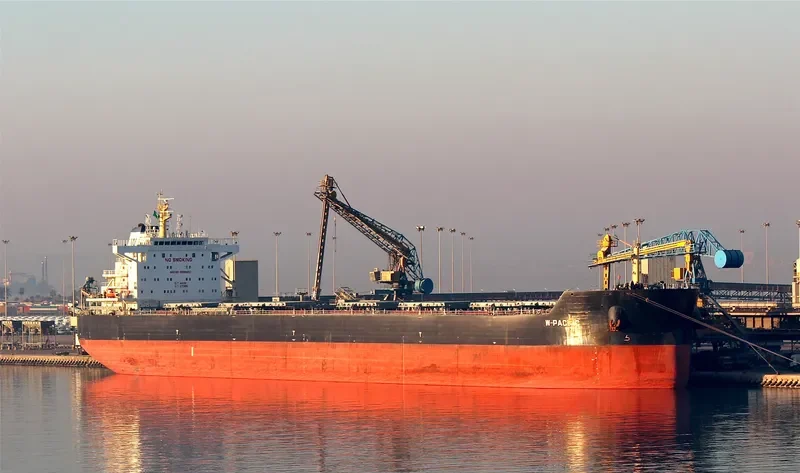 W PACIFIC Bulk Carrier IMO 9596650