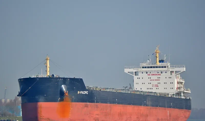 W PACIFIC Bulk Carrier IMO 9596650 photo 8
