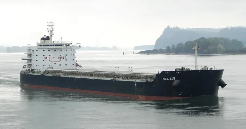 CHRISTIANNA Bulk Carrier IMO 9596703 photo 8