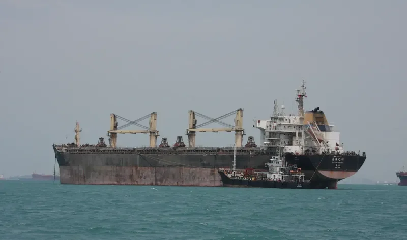 OCEAN FEATHER Bulk Carrier IMO 9596715