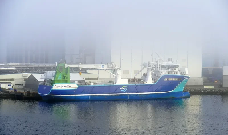 HOYDAL General Cargo IMO 9596791 photo 2